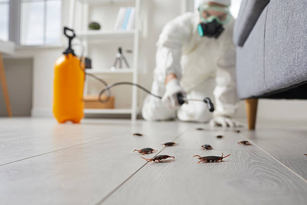 Commercial Kitchen Cockroach Control in Wetumka